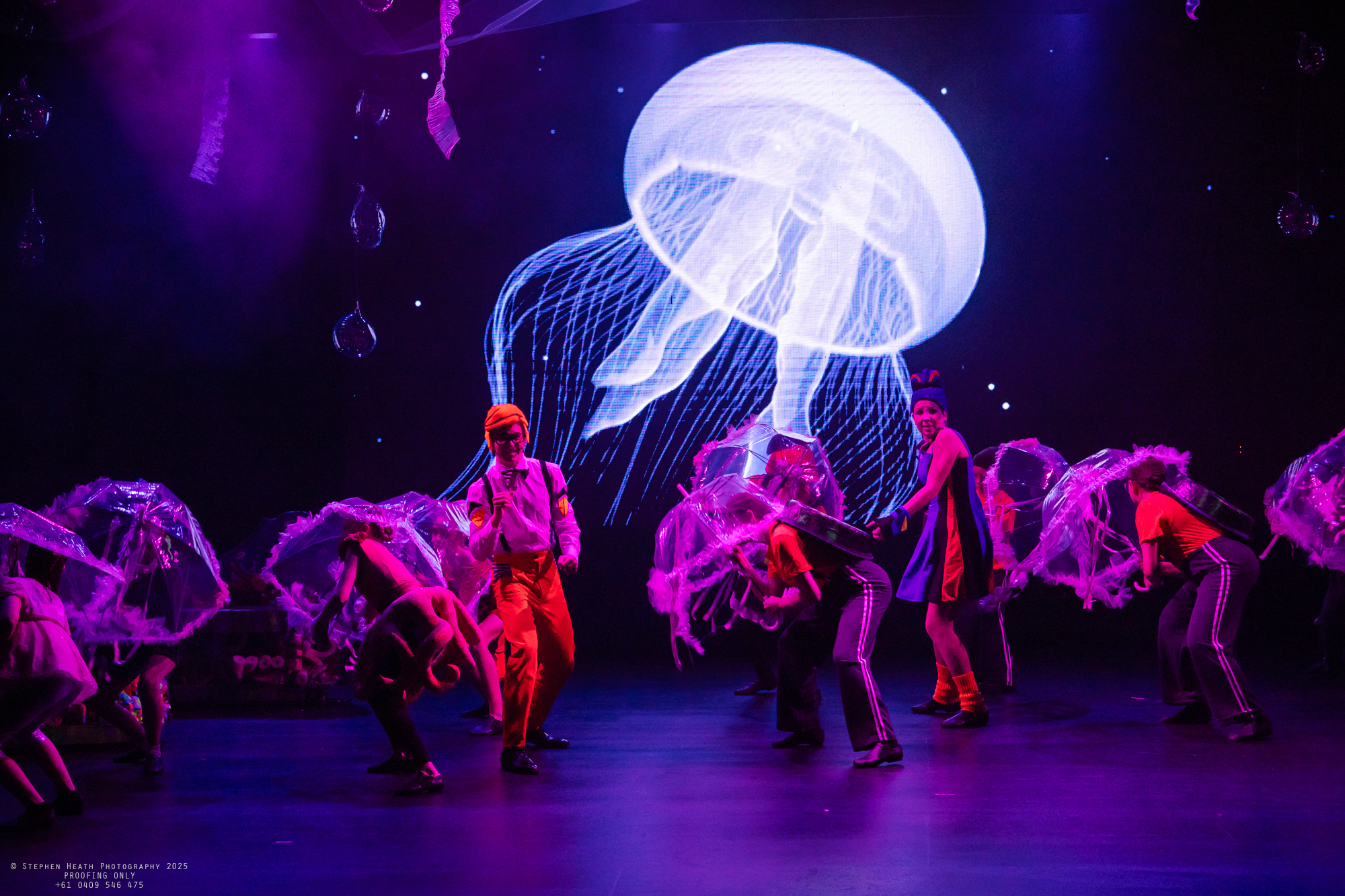 @stephenheathphotography